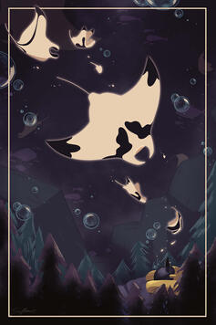 Manta Rays
